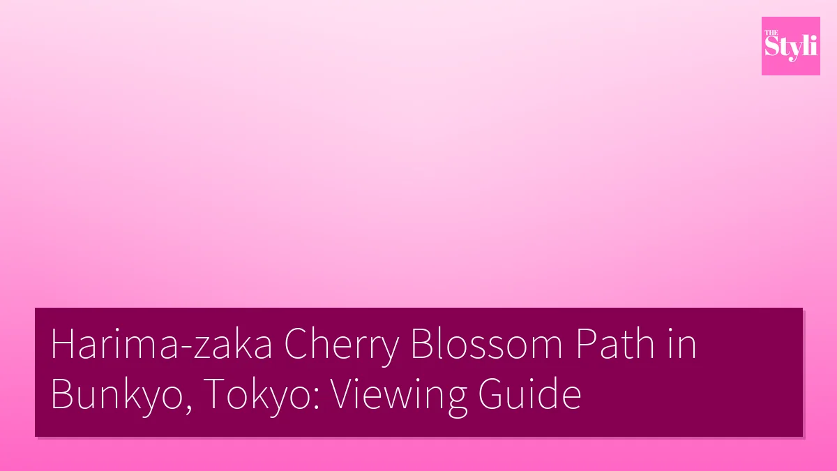 Harima-zaka Cherry Blossom Path in Bunkyo, Tokyo: Viewing Guide
